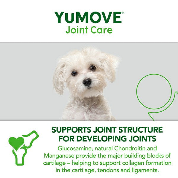 YuMOVE Joint Care for Young Dogs Hip & Joint Supplement, Mobility Support 240 Pack