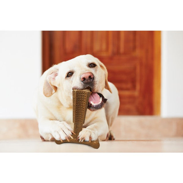 Bamboodles T Bone Chew Toy for Dogs Large 7Inch Chicken Flavour