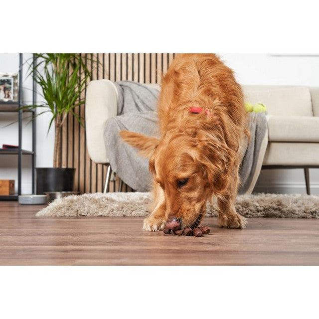 Doodles Deli Air Dried Linked Chicken Sausages 5kg