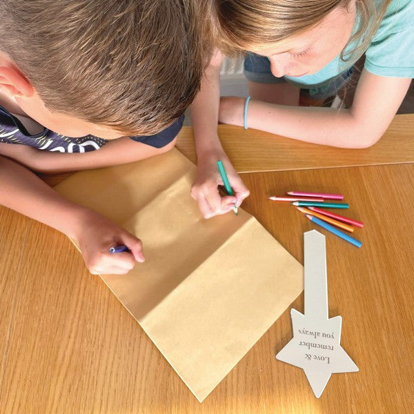 Oh So Precious Buddy Bag Pet Travel & Food Storage Tote Durable Portable Dog & Cat Carrier