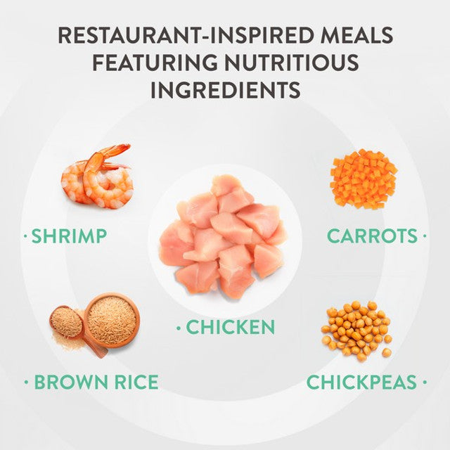 Schesir Taste The World Adult Dog Variety Pack 6X150g