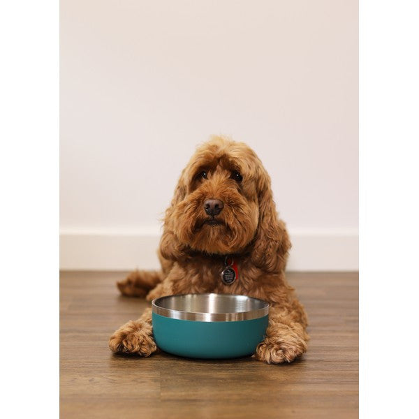 Rosewood Double Wall Stainless Steel Pet Bowl Insulated Dog Food Bowl Teal