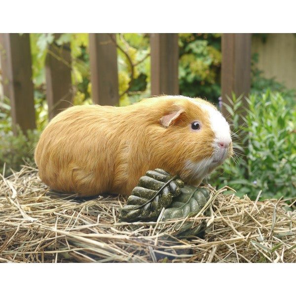 Rosewood Veggie Burst Cat Treats Healthy Nibble Leaves for Cats, Grain-Free & Natural