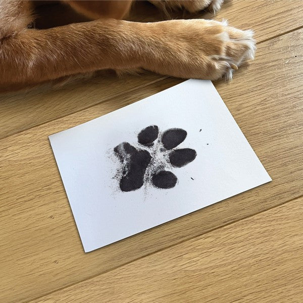 Oh So Precious Pet Memory Box Personalized Pet Keepsake & Remembrance Kit for Dogs & Cats