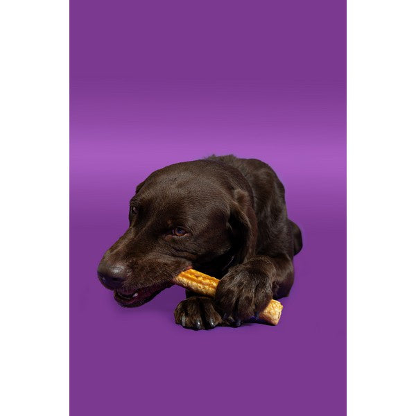 Pawtential Collagen Chew Beef Flavor Large 110g Dog Dental Treats, Joint Support, Healthy Chews