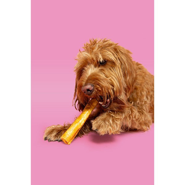 Pawtential Collagen Chew for Dogs Peanut Flavour, Large 110g Healthy Dental & Joint Support Treat