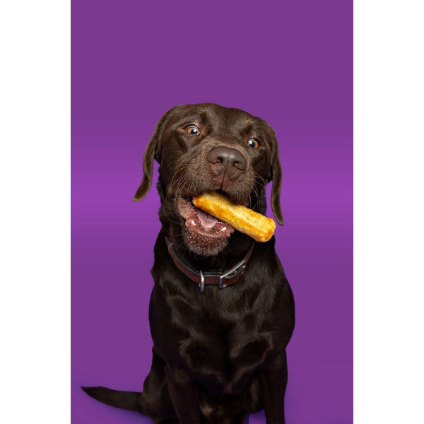 Pawtential Collagen Chew Salmon Flavor Medium 70g Healthy Dog Treat for Joints & Skin