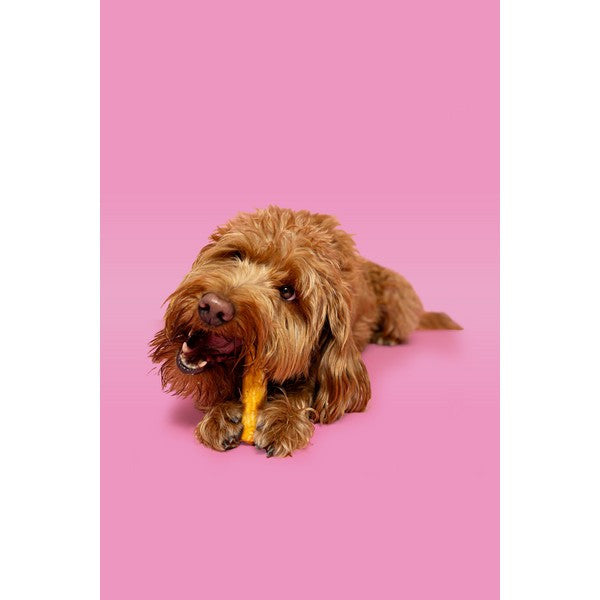 Pawtential Collagen Chew Beef Flavour Small 36g Healthy Dog Treats for Joint & Skin Support
