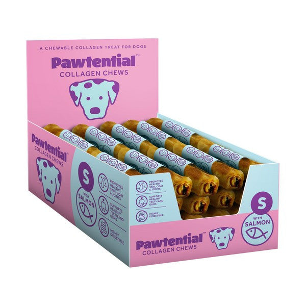 Pawtential Collagen Chew Salmon Flavor Small 36g Healthy Dog Treats for Skin & Joint Support