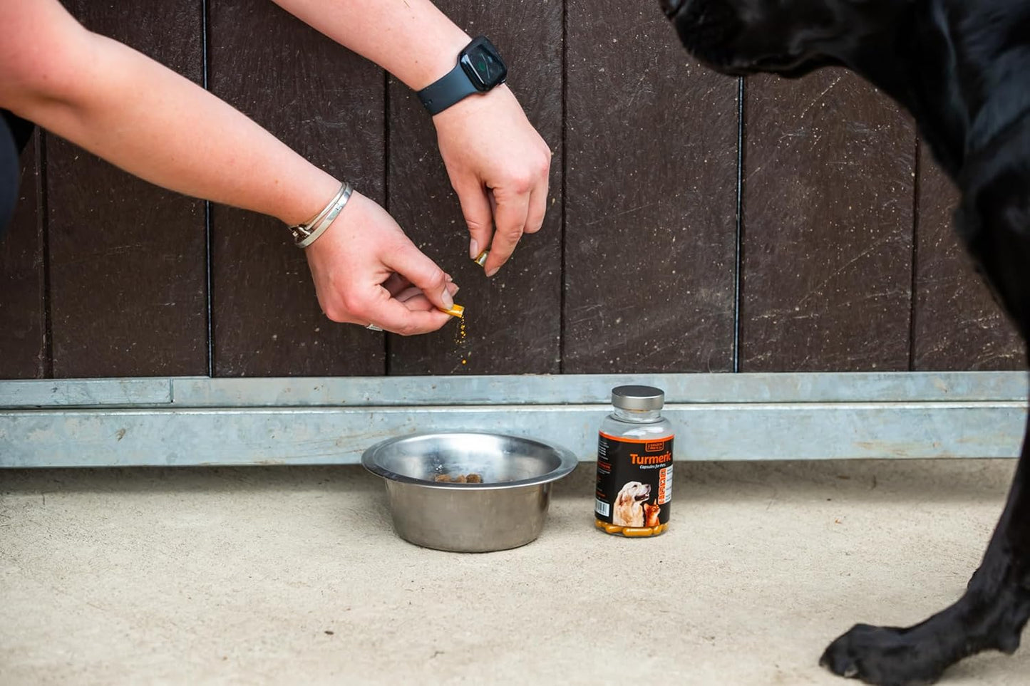 Golden Paste Co. Turmeric Capsules for Dogs & Cats 90 Pack – Joint & Health Support