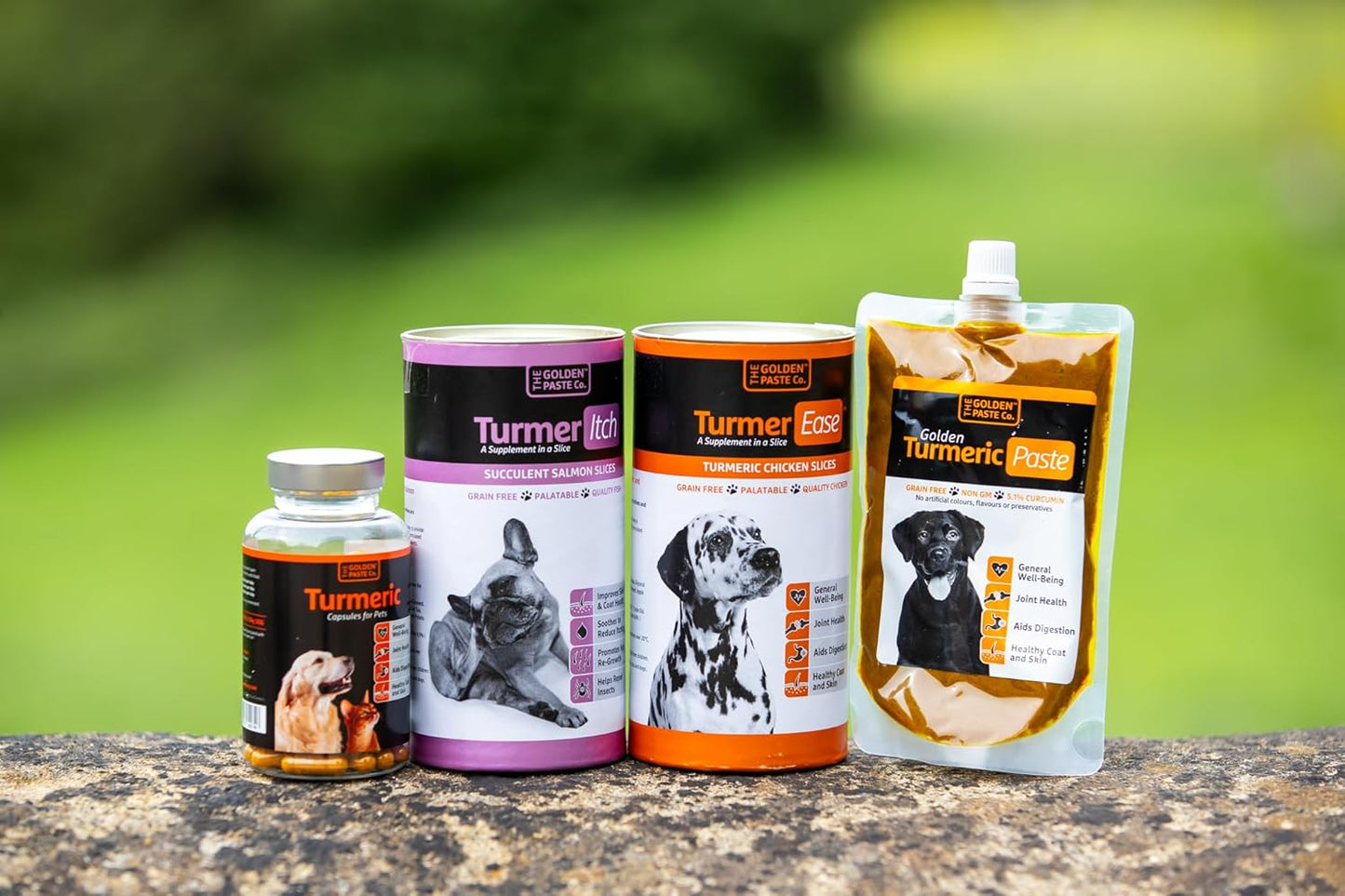 Golden Paste for Pets – Natural Turmeric Support for Joint & Overall Wellness