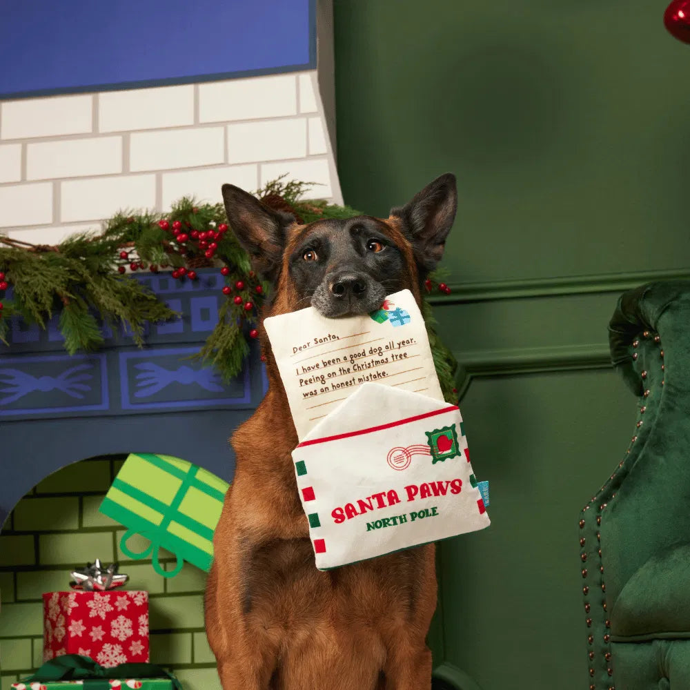 BARK Christmas “Letter to Santa Paws” Dog Toy