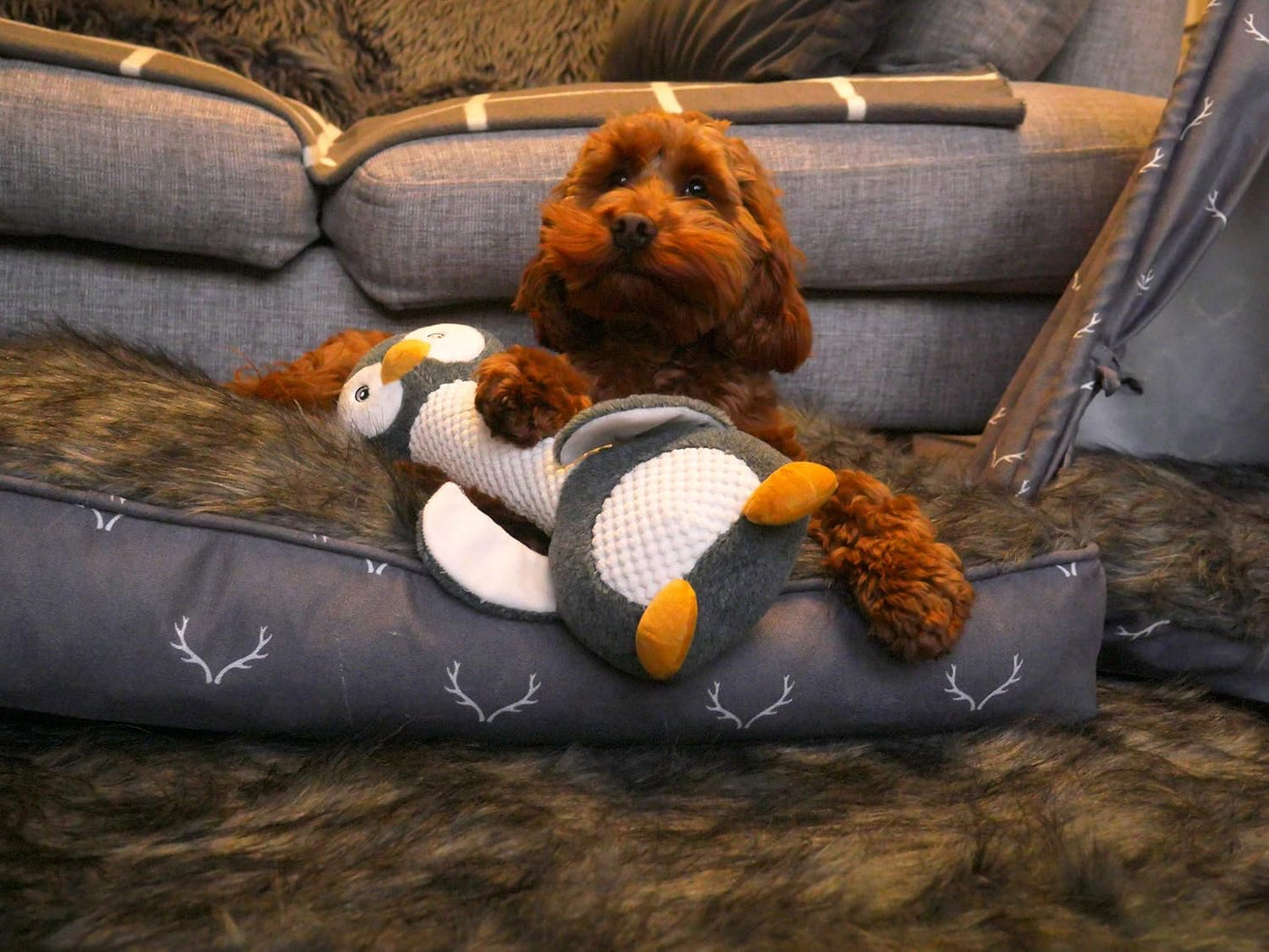 Rosewood Mr Poppy Penguin Dog Toy Interactive Chew & Fetch Set