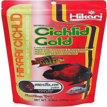 Hikari Cichlid Gold