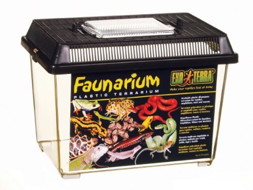 Exo Terra Standard Faunarium To Transport Reptile , Small