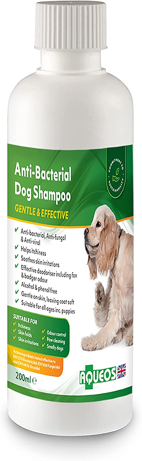 Aqueos Antibacterial, Antiviral & Antifungal Dog Shampoo