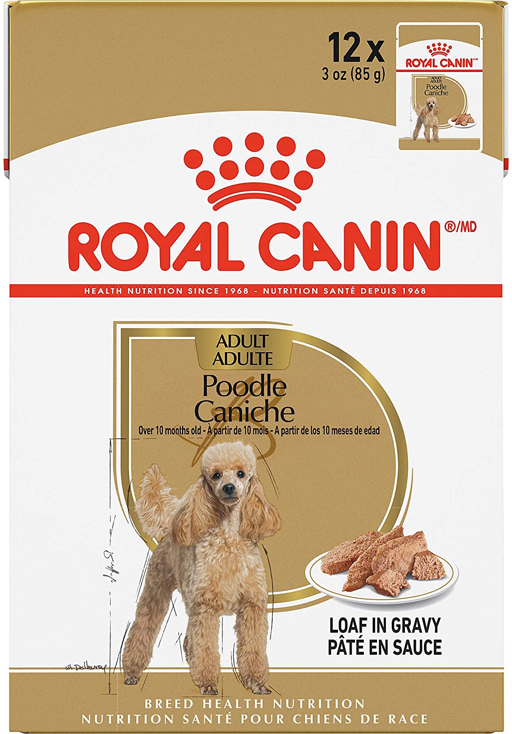Royal Canin Poodle Adult Wet Dog Food