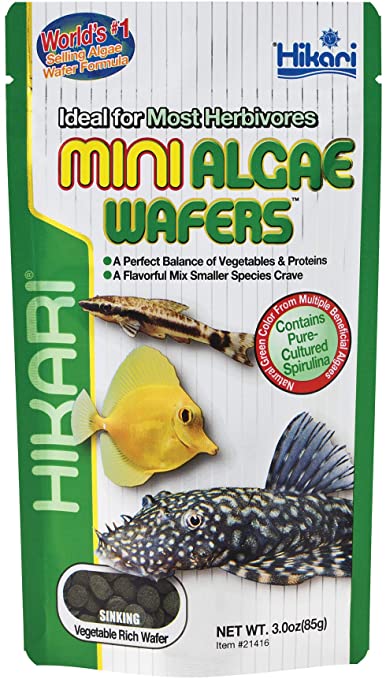 Hikari Algae Wafers