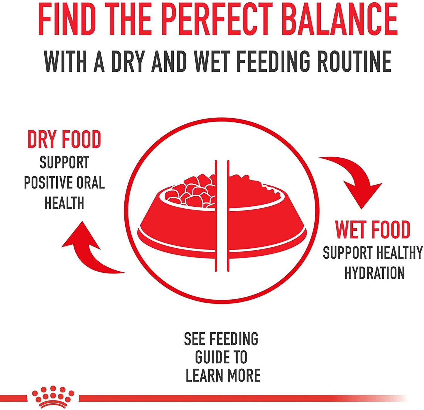 ROYAL CANIN® Chihuahua Adult Wet Dog Food