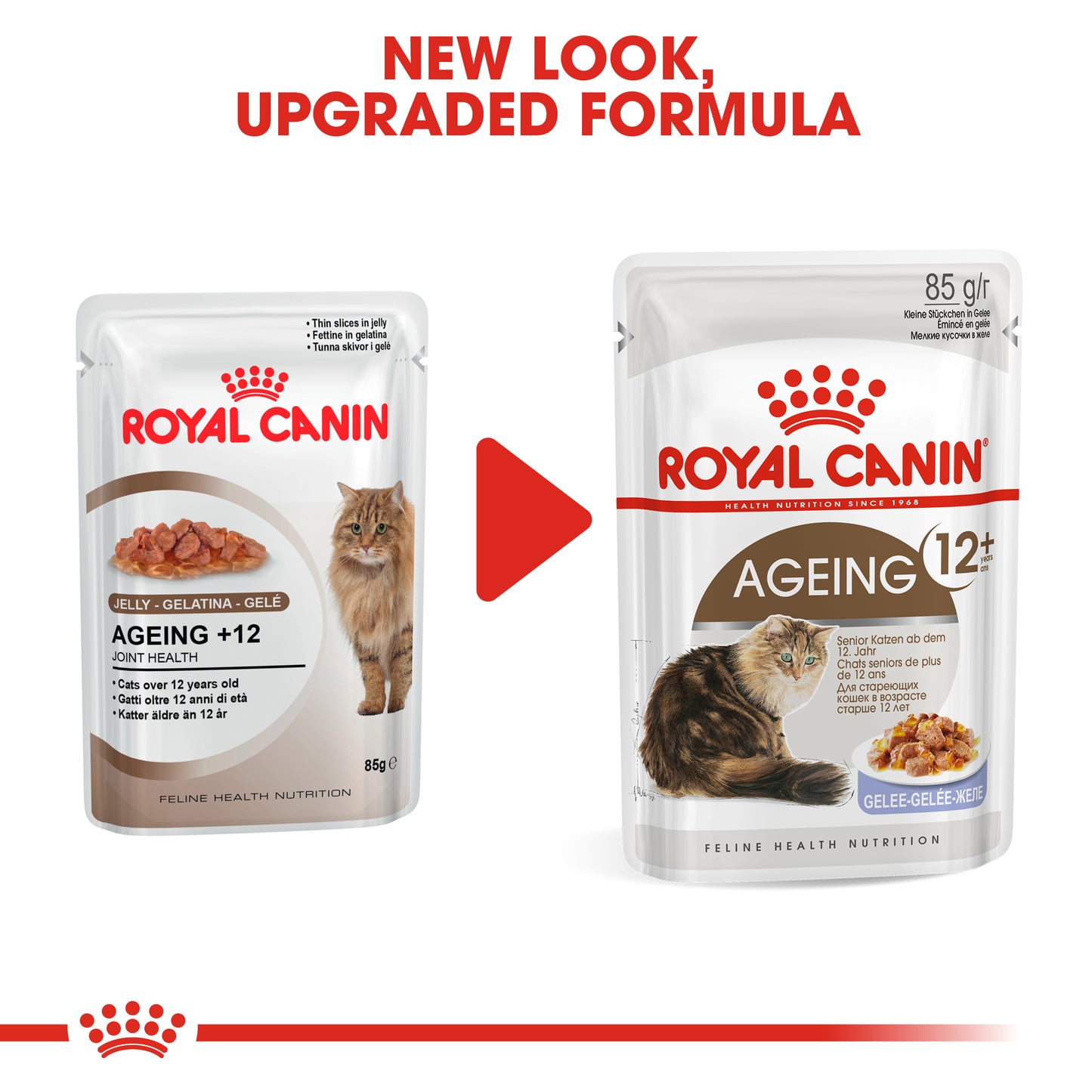 ROYAL CANIN® Ageing 11+ Senior Wet Cat Food