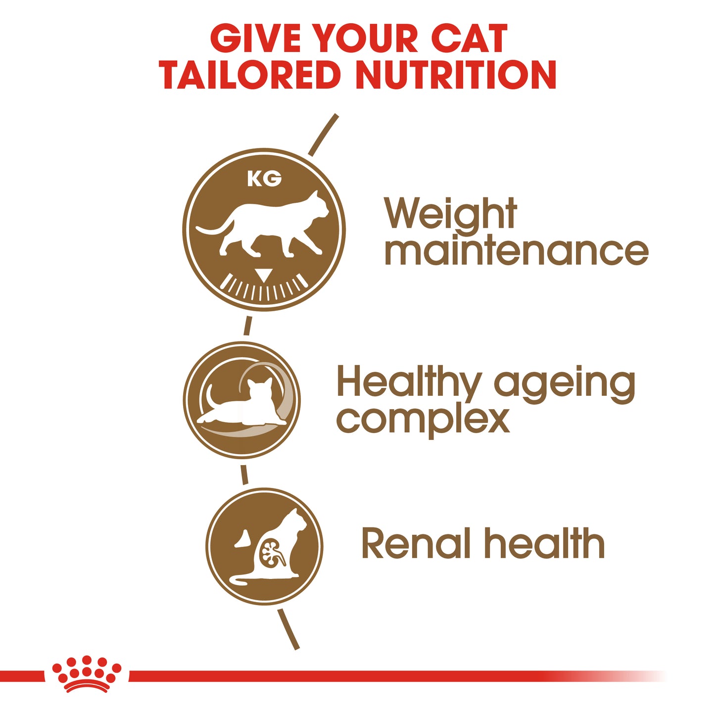 ROYAL CANIN® Ageing Sterilised 12+ Senior Dry Cat Food