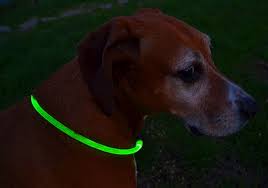 Animate Walking Mate LED Flashing Loop