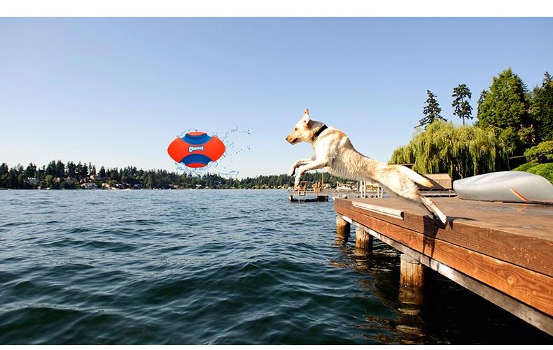 Chuckit! Fumble Fetch