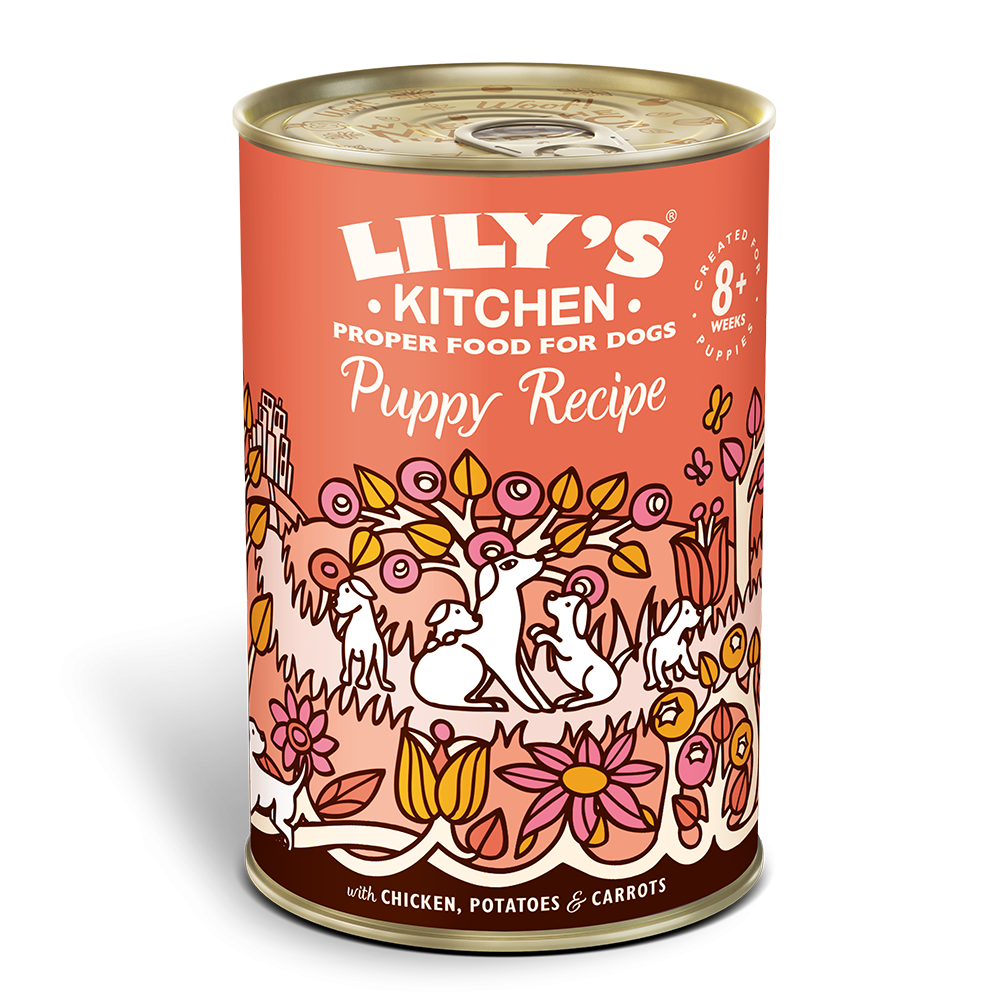 Lily's Kitchen Chicken Dinner