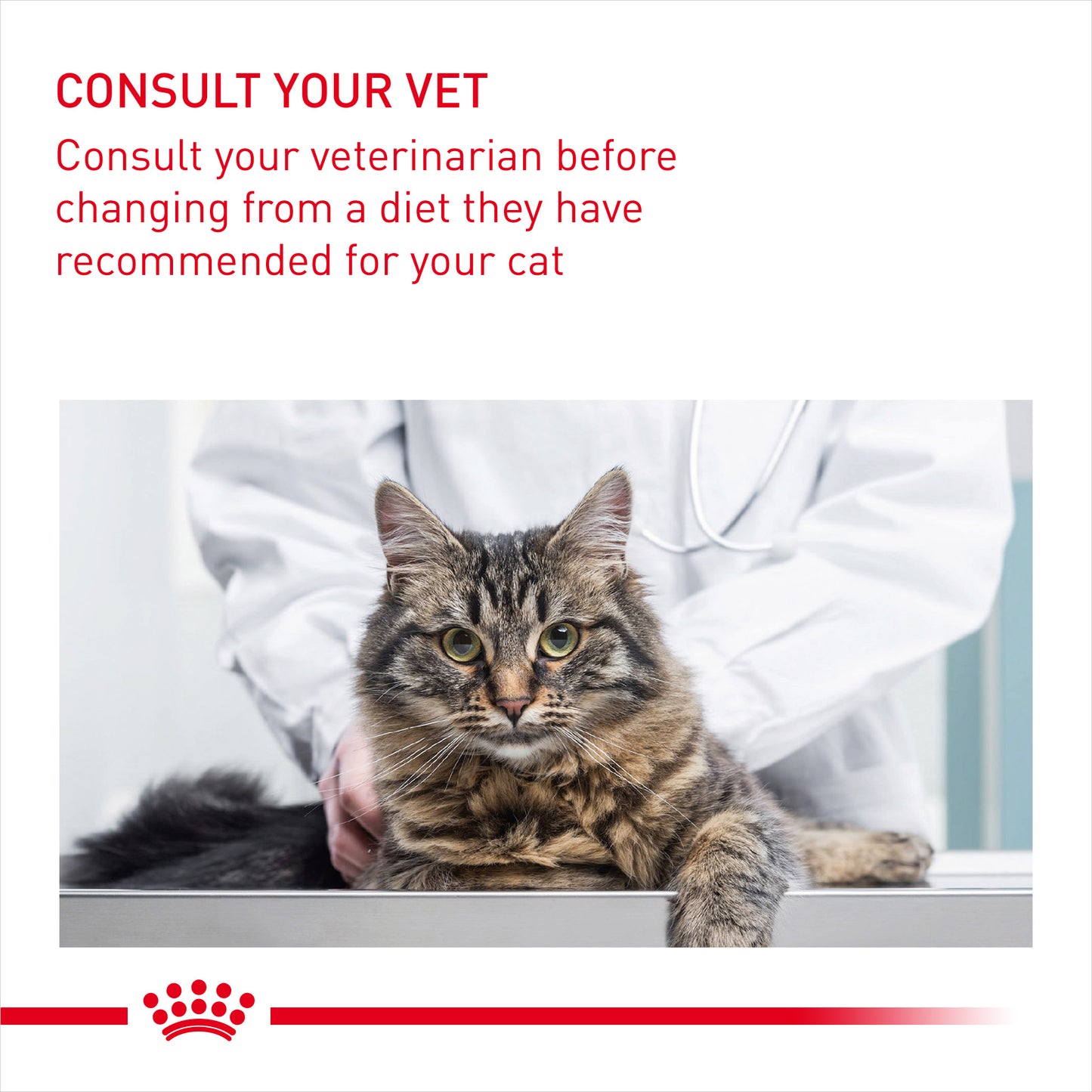 ROYAL CANIN® Hair & Skin Care Adult Dry Cat Food