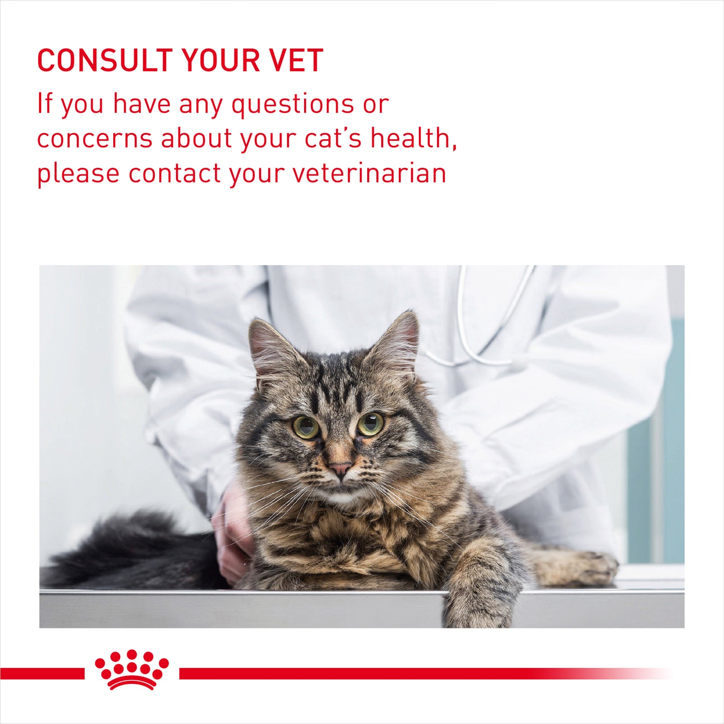 ROYAL CANIN® Hairball Care In Gravy Adult Wet Cat Food