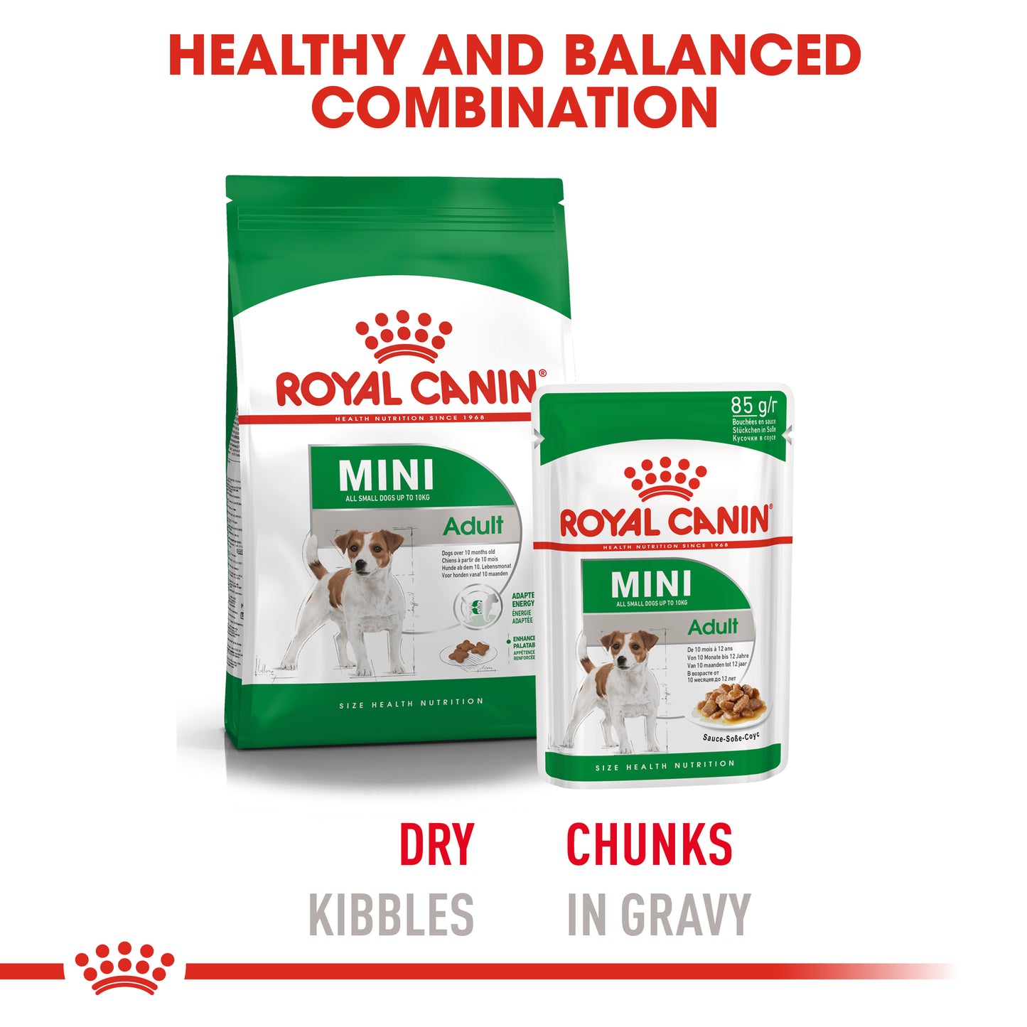 ROYAL CANIN® Mini Adult Dry Dog Food