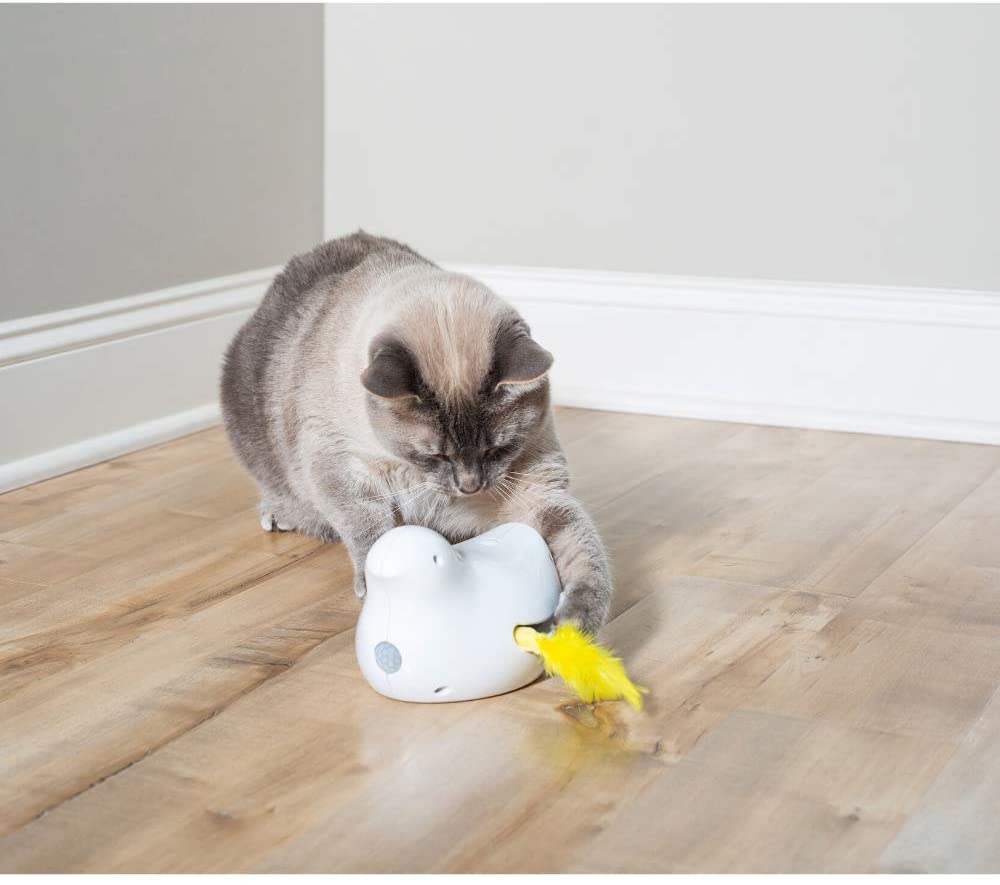 Petsafe Peek-a-Bird Cat Toy