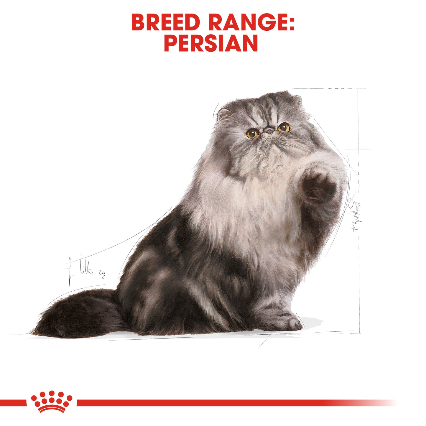 ROYAL CANIN® Persian Adult Dry Cat Food