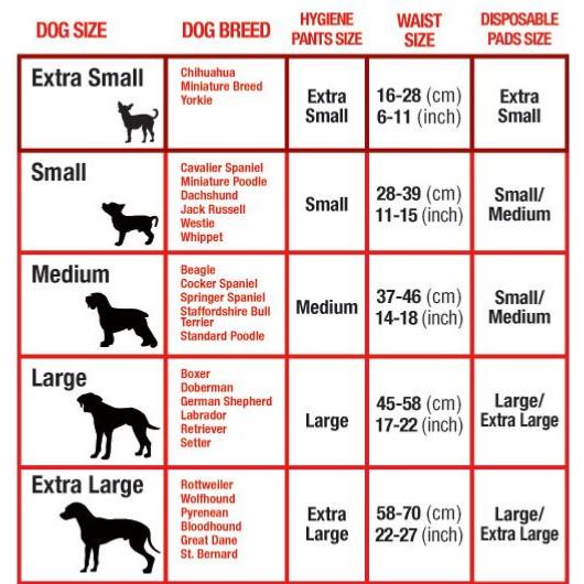 Mikki Hygiene Pants Dog