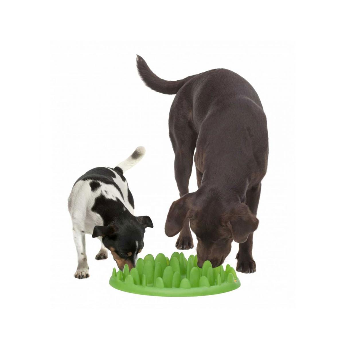 Company of Animals Slow Interactive Feeder