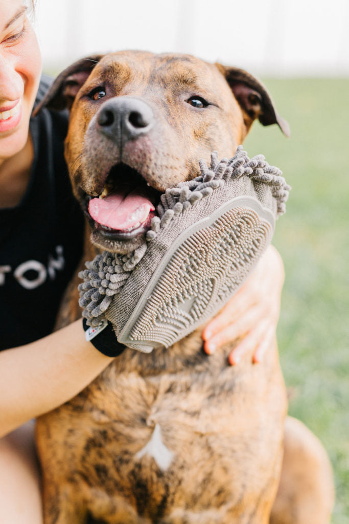 Dirty Dog Grooming Mitt Single Dries Your Dog