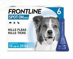 Frontline Spot On Medium Dog