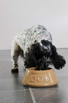 Mason Cash Dog Non Tip Bowl