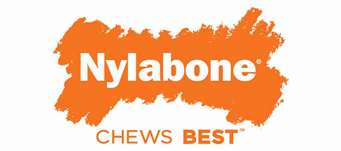 Nylabone Dura Dog Chew Toy Bone, Bacon Flavor