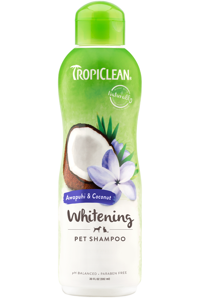 TropiClean Awapuhi and Coconut Shampoo For Dog and Cat