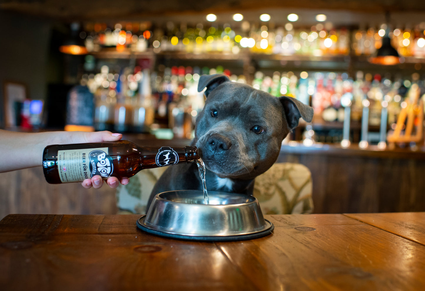 Woof & Brew Bottom Sniffer Dog Beer