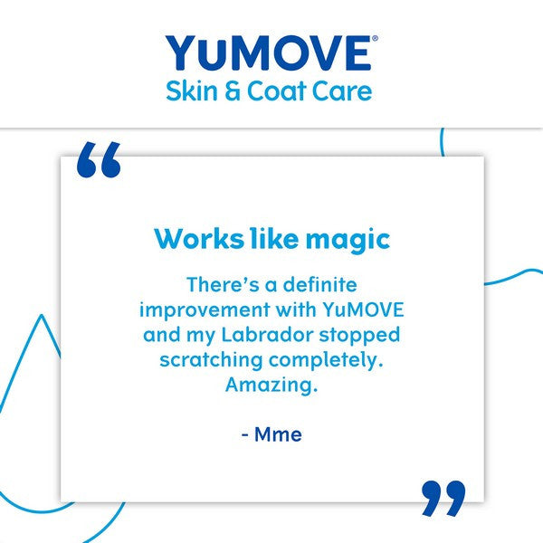 YuMOVE Skin & Coat Care Dog Supplement Itch Relief & Healthy Coat Support for Adult Dogs 250ml