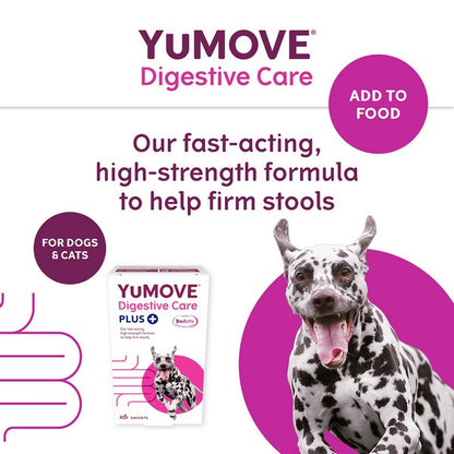 YuMOVE Digestive Care PLUS Dog Supplement Probiotic & Digestive Support 6 Sachets