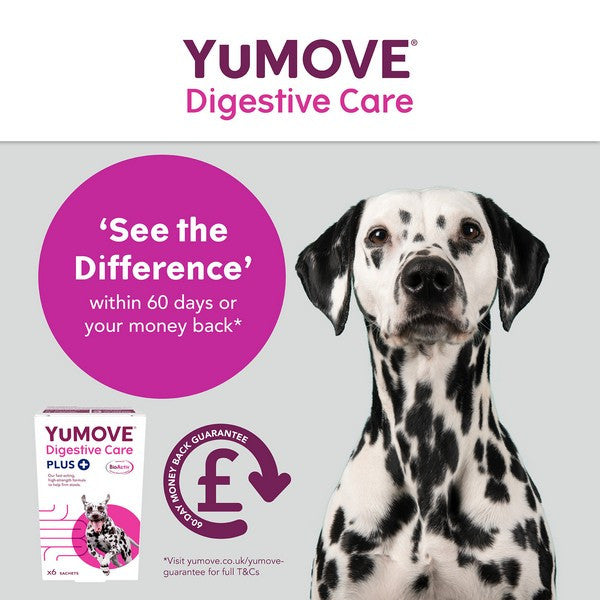 YuMOVE Digestive Care PLUS Dog Supplement Probiotic & Digestive Support 6 Sachets