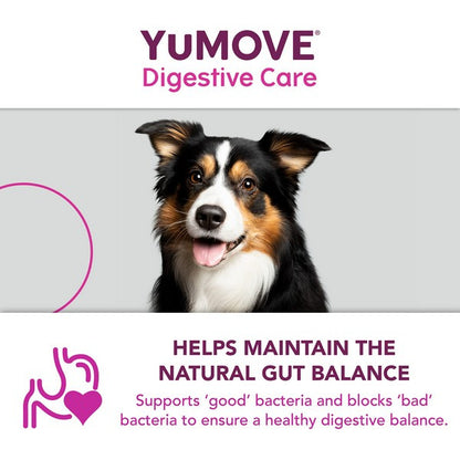 YuMOVE Digestive Care PLUS Dog Supplement Probiotic & Digestive Support 6 Sachets