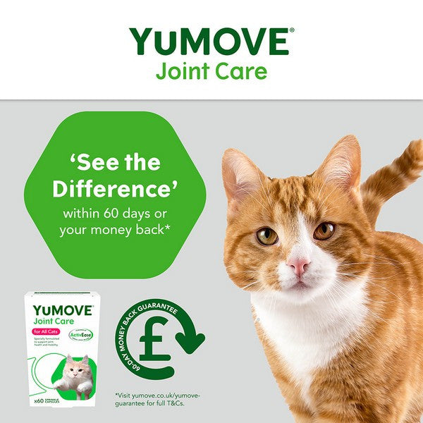 YuMOVE Joint Care for Cats Hip & Joint Supplement, Mobility Support 60 Pack
