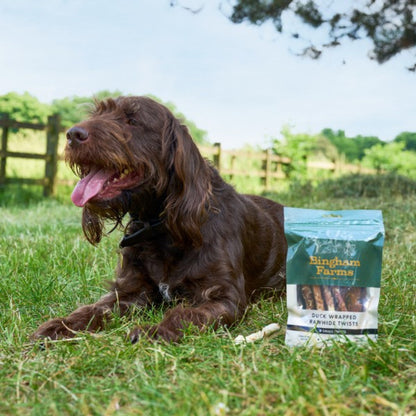 Bingham Farms Chicken Wrapped Rawhide Twist Sml 8pk 80g Case of 10