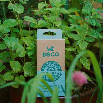 Dog Poop Bags Mint Scented Recycled Beco 60 Pack