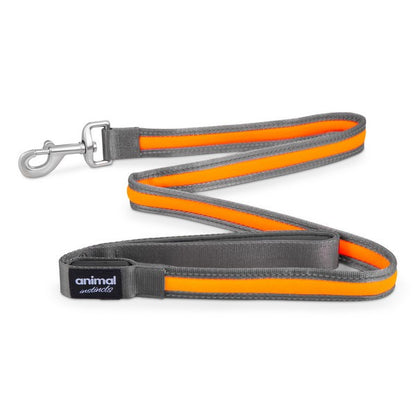 Animal Instincts Flashing Safety USB Rechargeable Dog Leash Durable Nylon Walking Leash Grey/Orange 1.2M