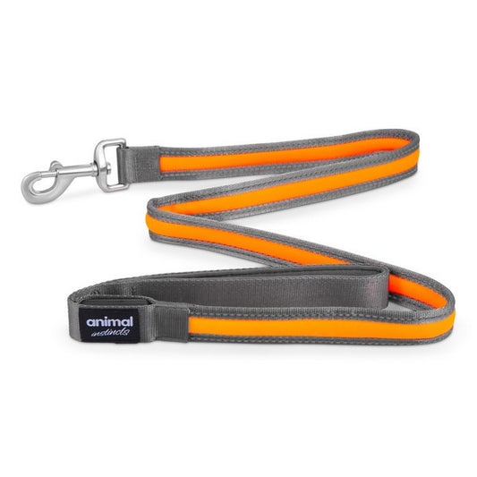 Animal Instincts Flashing Safety USB Rechargeable Dog Leash Durable Nylon Walking Leash Grey/Orange 1.2M